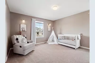 204 Crosshaven Place, Castle Rock, CO 80104 - Photo 23