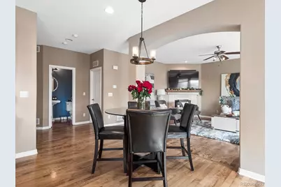 204 Crosshaven Place, Castle Rock, CO 80104 - Photo 9