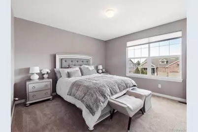 204 Crosshaven Place, Castle Rock, CO 80104 - Photo 21