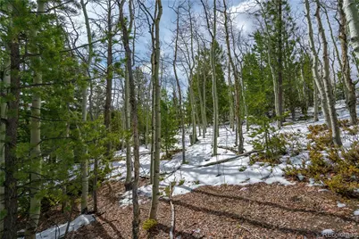 224 Deadwood Road, Cripple Creek, CO 80813 - Photo 9