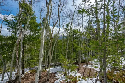 224 Deadwood Road, Cripple Creek, CO 80813 - Photo 3