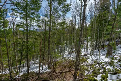 224 Deadwood Road, Cripple Creek, CO 80813 - Photo 11