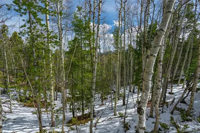 224 Deadwood Road, Cripple Creek, CO 80813 - Photo 1