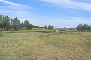 5360 Pine Ridge Dr, Elizabeth, CO 80107 - Photo 39