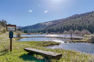 53 Silver Creek Lake, Poncha Springs, CO 81242 - Photo 7