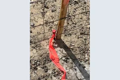 00 County Road 9 S, Alamosa, CO 81101 - Photo 5