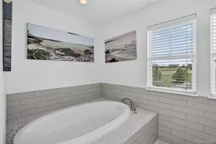 3319 Paintbrush Ln, Parker, CO 80138 - Photo 25