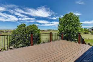 3319 Paintbrush Ln, Parker, CO 80138 - Photo 43
