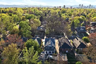 1020 Garfield St, Denver, CO 80206 - Photo 45