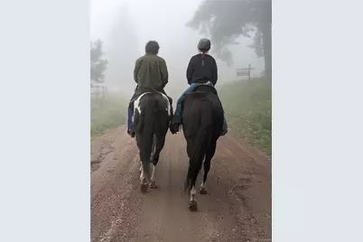 8537 S Doubleheader Ranch Road, Morrison, CO 80465 - Photo 47