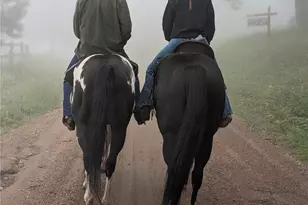 8537 S Doubleheader Ranch Rd, Morrison, CO 80465 - Photo 47