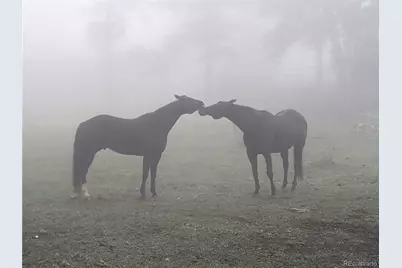 8537 S Doubleheader Ranch Road, Morrison, CO 80465 - Photo 31