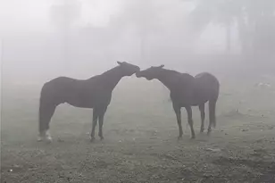 8537 S Doubleheader Ranch Rd, Morrison, CO 80465 - Photo 31