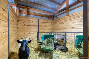 8537 S Doubleheader Ranch Rd, Morrison, CO 80465 - Photo 29