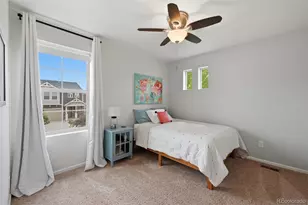 8341 Plumwood Circle, Colorado Springs, CO 80927 - Photo 25