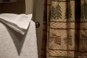 201 Zephyr Way, Winter Park, CO 80482 - Photo 21