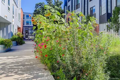 2525 Arapahoe Street #206, Denver, CO 80205 - Photo 37