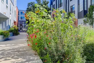 2525 Arapahoe St, Denver, CO 80205 - Photo 37