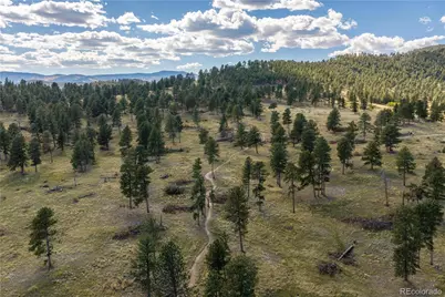 3079 Royale Elk Way, Evergreen, CO 80439 - Photo 47