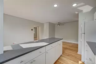 505 N Logan Street, Denver, CO 80203 - Photo 9