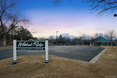 10330 Lions Path, Lone Tree, CO 80124 - Photo 47