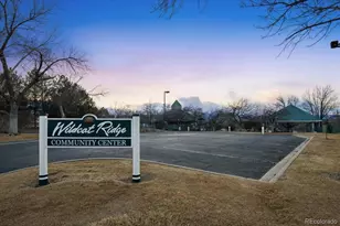 10330 Lions Path, Lone Tree, CO 80124 - Photo 47