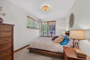 363 Lodge Pole Circle, Silverthorne, CO 80435 - Photo 21