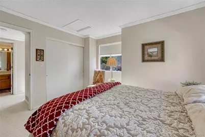 145 Blue Spruce Court, Highlands Ranch, CO 80126 - Photo 29