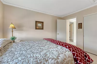 145 Blue Spruce Court, Highlands Ranch, CO 80126 - Photo 27