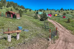 1455 N B St, Florissant, CO 80816 - Photo 13