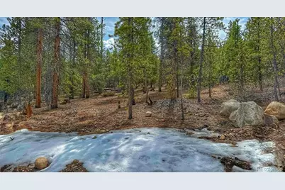 48 Mount Massive Road, Twin Lakes, CO 81251 - Photo 3
