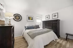 381 Mountain Cloud Cir, Highlands Ranch, CO 80126 - Photo 17