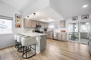 381 Mountain Cloud Cir, Highlands Ranch, CO 80126 - Photo 7