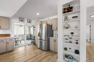 381 Mountain Cloud Cir, Highlands Ranch, CO 80126 - Photo 11