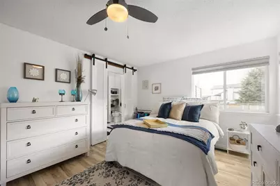 381 Mountain Cloud Circle, Highlands Ranch, CO 80126 - Photo 13