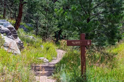 25478 Foothills Drive N, Golden, CO 80401 - Photo 49