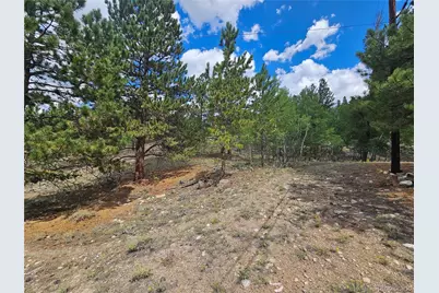 142 La Plata Peak Drive, Twin Lakes, CO 81251 - Photo 19