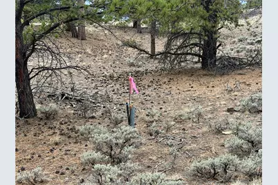 142 La Plata Peak Drive, Twin Lakes, CO 81251 - Photo 21