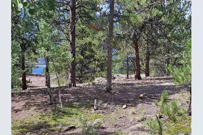 142 La Plata Peak Drive, Twin Lakes, CO 81251 - Photo 13