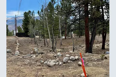 142 La Plata Peak Drive, Twin Lakes, CO 81251 - Photo 23