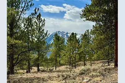 142 La Plata Peak Drive, Twin Lakes, CO 81251 - Photo 1