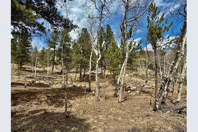 142 La Plata Peak Drive, Twin Lakes, CO 81251 - Photo 9