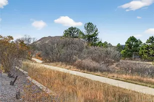 1539 Dawson Butte Way, Castle Rock, CO 80109 - Photo 31