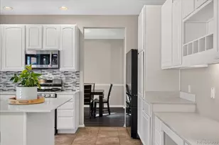 11346 Mesa Verde Way, Parker, CO 80138 - Photo 9
