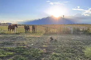 6450 County Road 181, Byers, CO 80103 - Photo 5