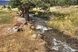 62 Rubel Circle, Westcliffe, CO 81252 - Photo 5