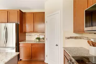 13965 Hillsboro Dr, Parker, CO 80134 - Photo 23