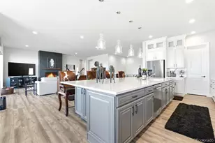 851 Alumroot St, Castle Rock, CO 80104 - Photo 15