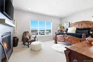 851 Alumroot St, Castle Rock, CO 80104 - Photo 23