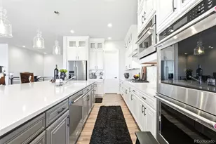 851 Alumroot St, Castle Rock, CO 80104 - Photo 15